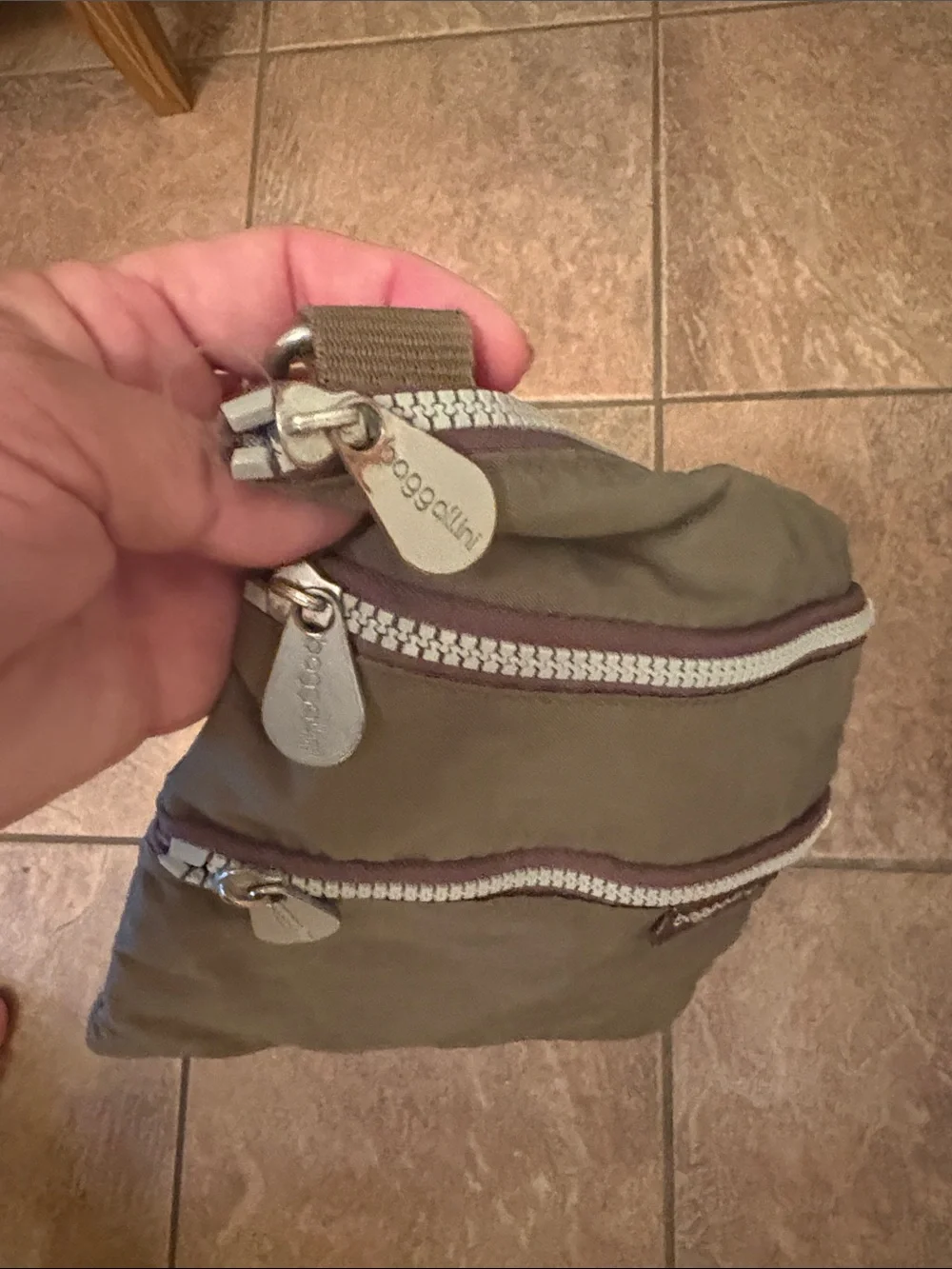 Baggallini Nylon Multi-Pocket Crossbody Travel Bag with Removable Strap